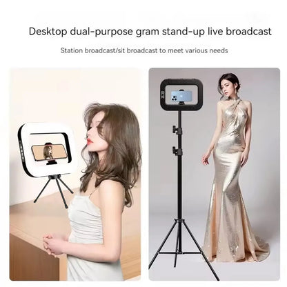 Handheld Ring LED Rechargeable Selfie Fill Light